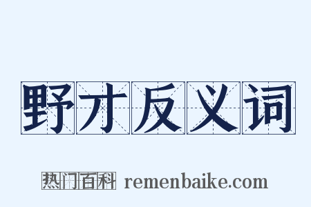 野才反义词是什么意思的图片